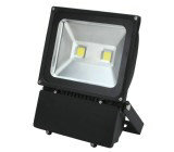 FL-C100 Classic Flood Light 100W